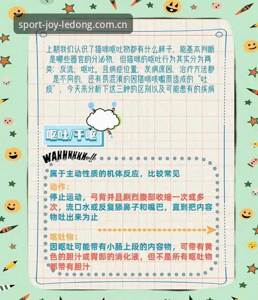 乐动体育安卓下载失败问题完整解决指南：从原因到对策的深度解析